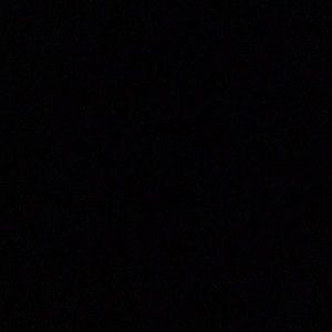 Meet your Posher, Terry